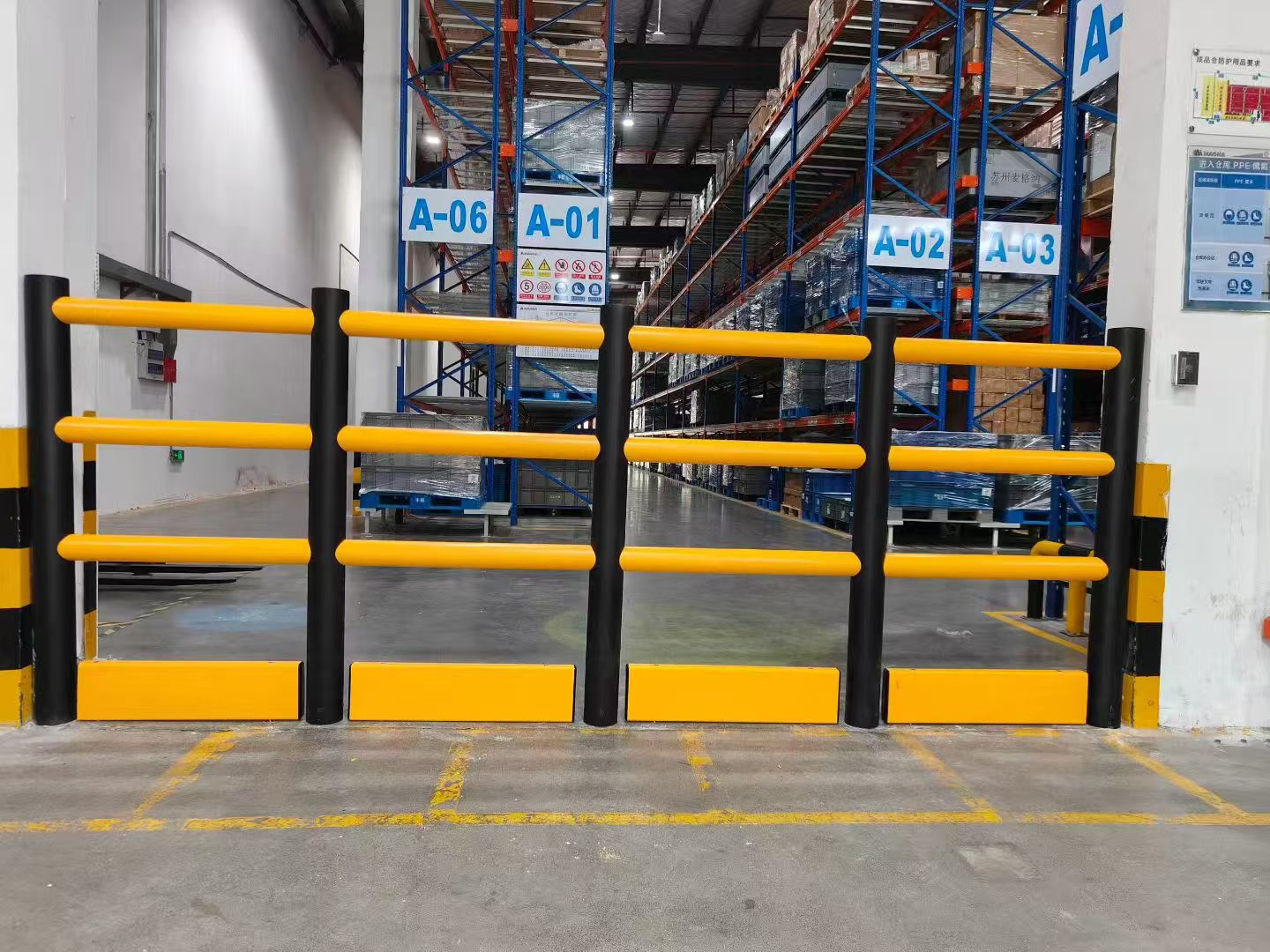 consectetur dipiscing
